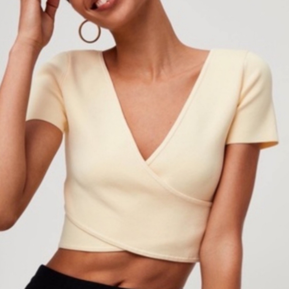 Aritzia Babaton Quillon Sculpt Knit Cross Crop Top